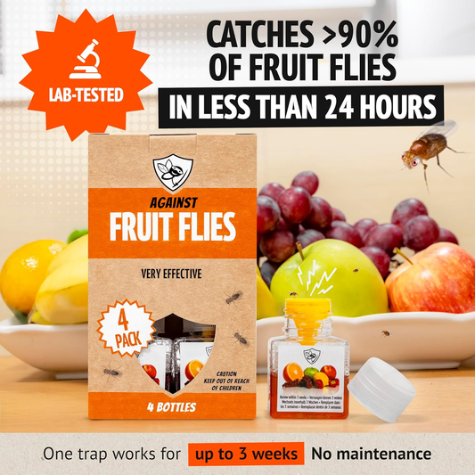 Highly Effective Fruit Fly Catcher for In