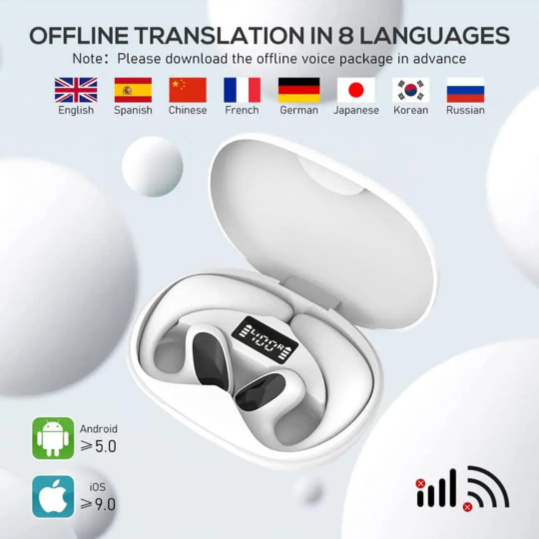 Translator Earbuds